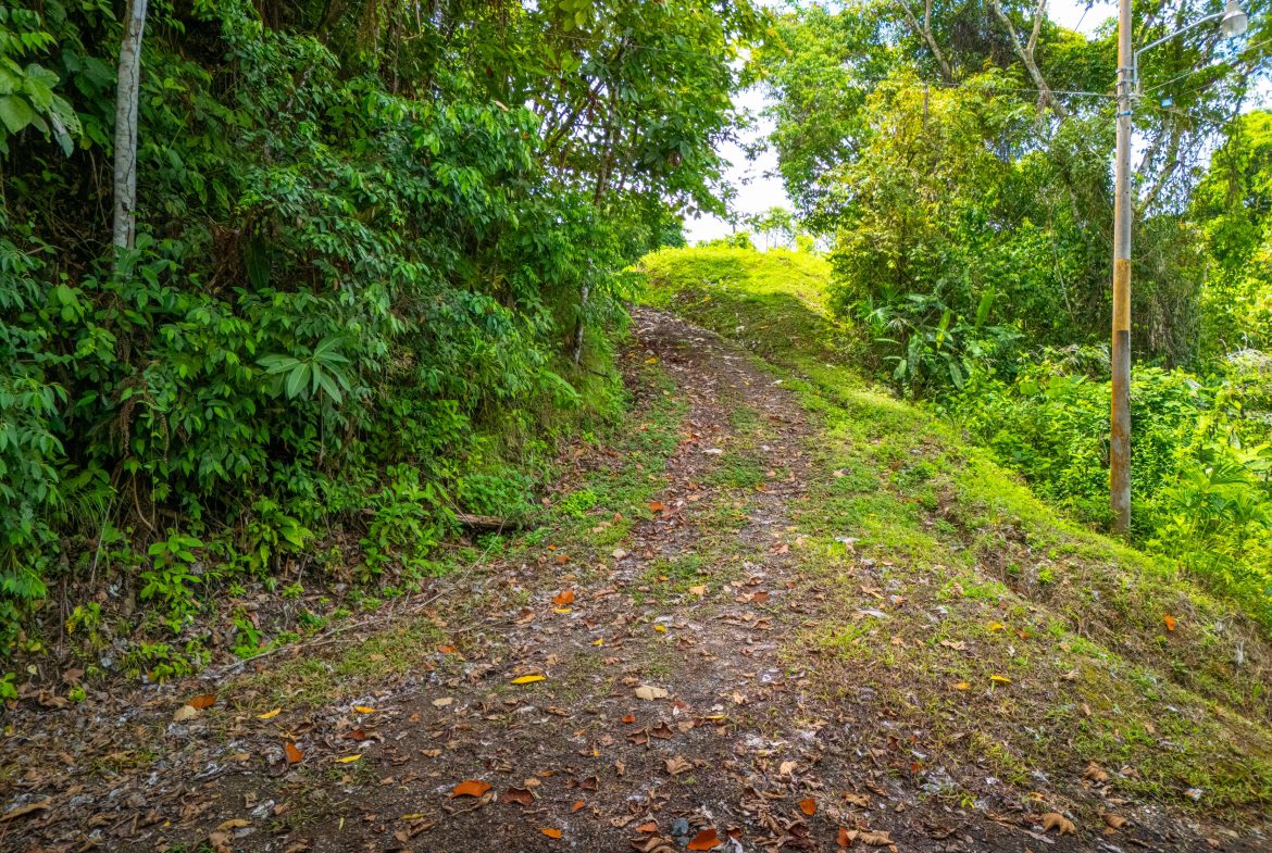BUILDING MOUNTAIN PROPERTY WITH MOUNTAINS VIEWS, IN TRES RIOS – 9.11 ACRES