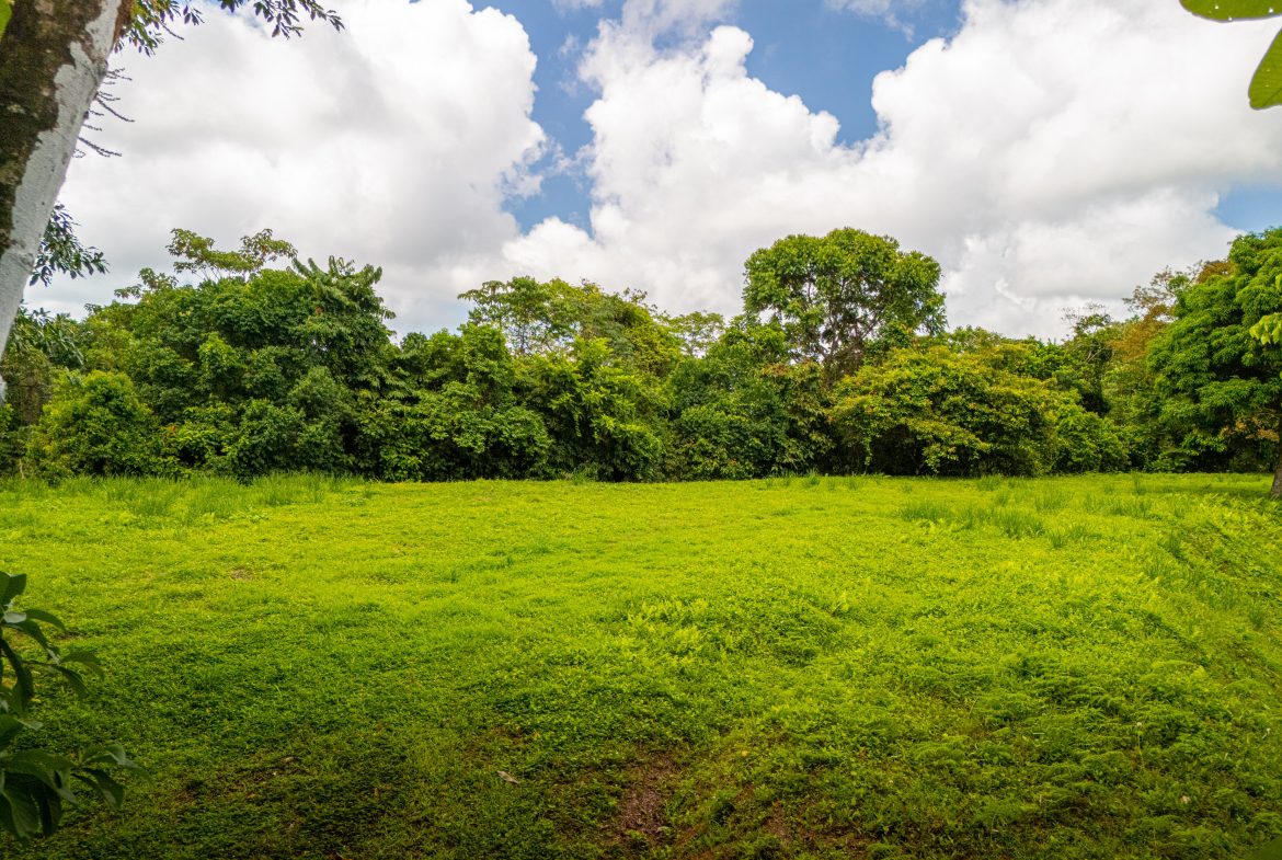 BUILDING MOUNTAIN PROPERTY WITH MOUNTAINS VIEWS, IN TRES RIOS – 9.11 ACRES