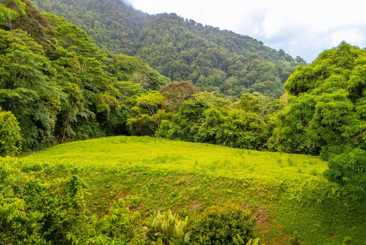 BUILDING MOUNTAIN PROPERTY WITH MOUNTAINS VIEWS, IN TRES RIOS – 9.11 ACRES