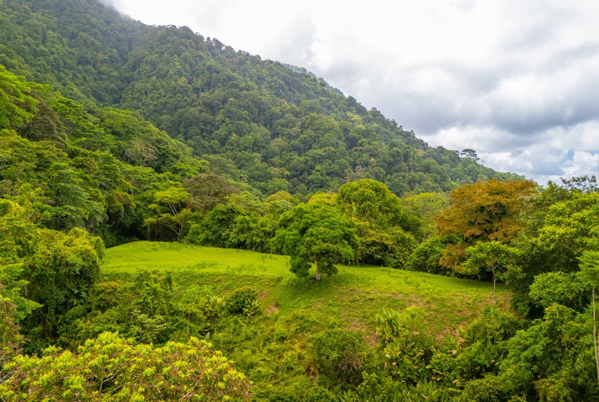 BUILDING MOUNTAIN PROPERTY WITH MOUNTAINS VIEWS, IN TRES RIOS – 9.11 ACRES