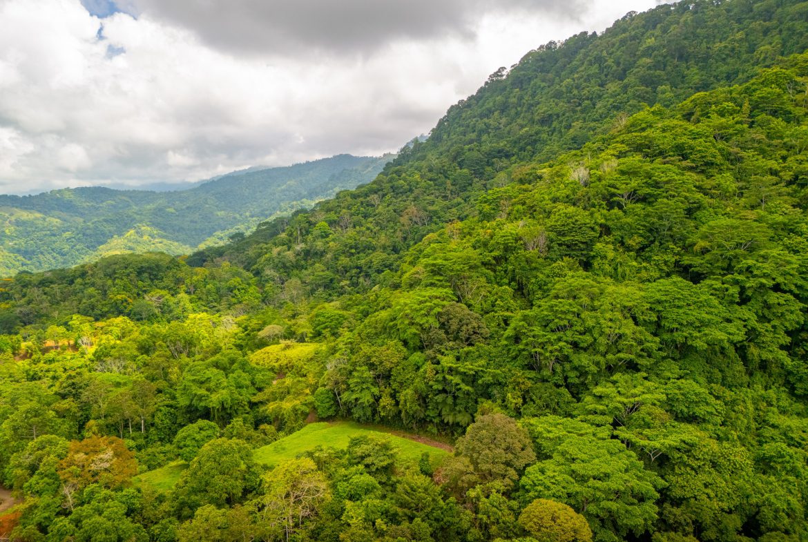 BUILDING MOUNTAIN PROPERTY WITH MOUNTAINS VIEWS, IN TRES RIOS – 9.11 ACRES