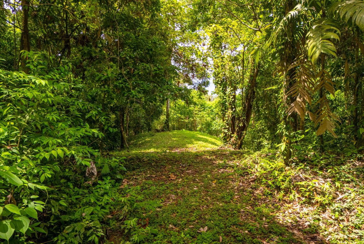 BUILDING MOUNTAIN PROPERTY WITH MOUNTAINS VIEWS, IN TRES RIOS – 9.11 ACRES