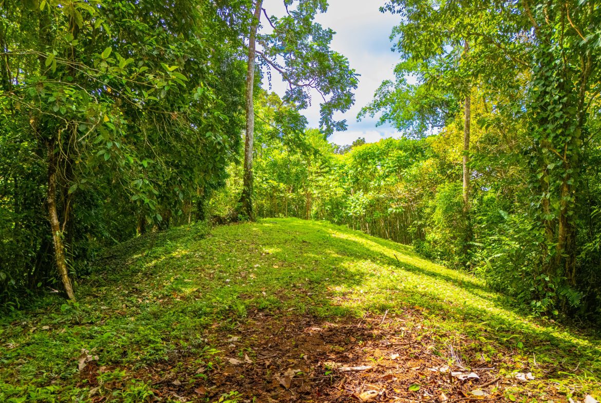 BUILDING MOUNTAIN PROPERTY WITH MOUNTAINS VIEWS, IN TRES RIOS – 9.11 ACRES