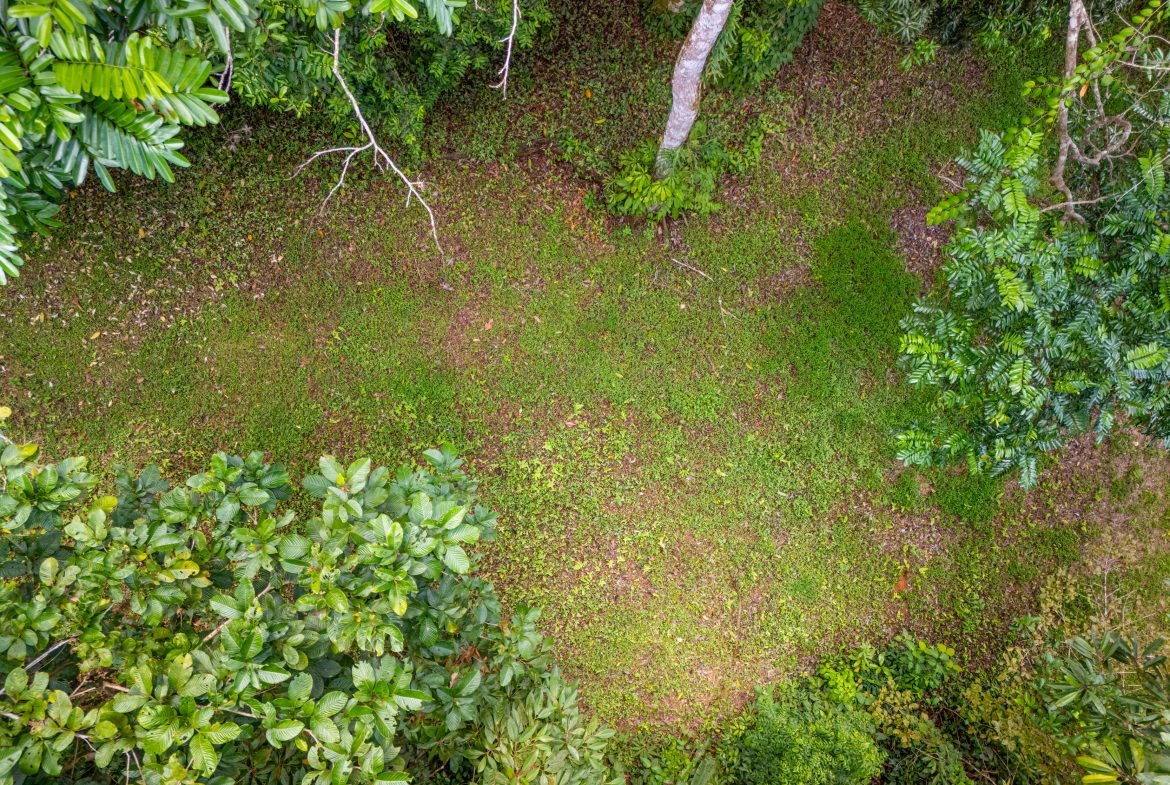 BUILDING MOUNTAIN PROPERTY WITH MOUNTAINS VIEWS, IN TRES RIOS – 9.11 ACRES