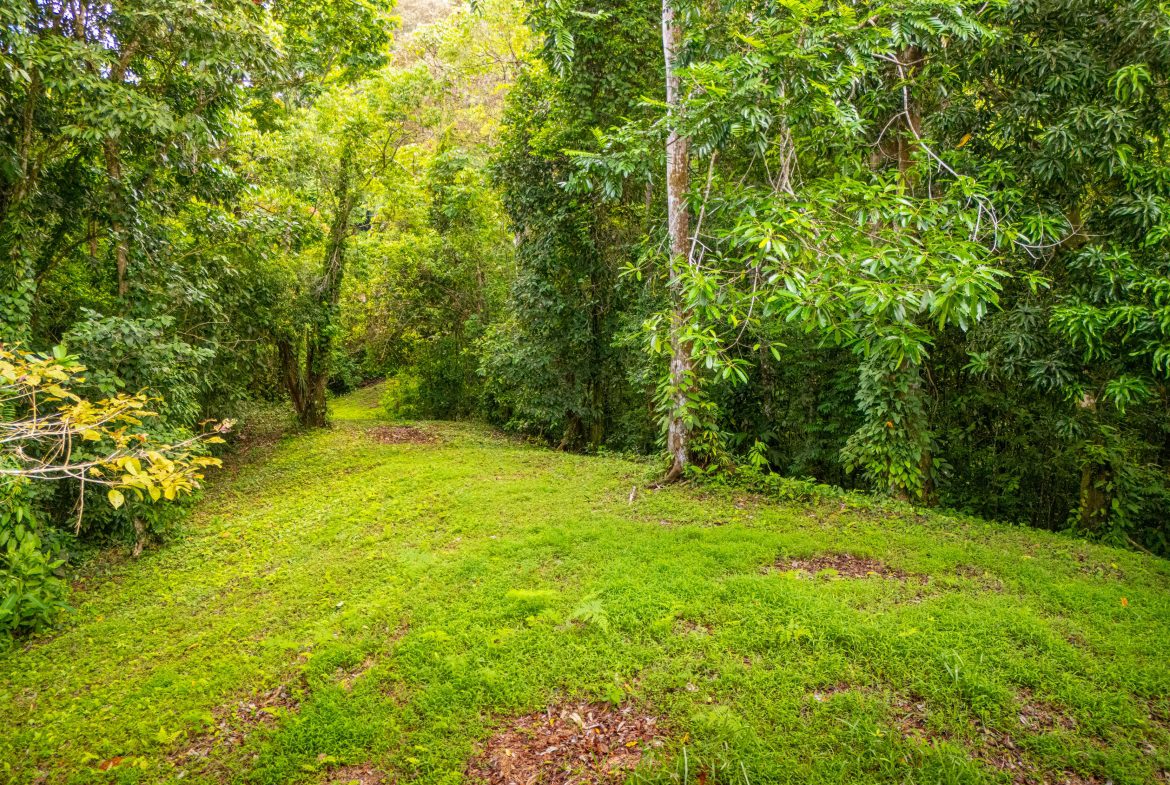 BUILDING MOUNTAIN PROPERTY WITH MOUNTAINS VIEWS, IN TRES RIOS – 9.11 ACRES