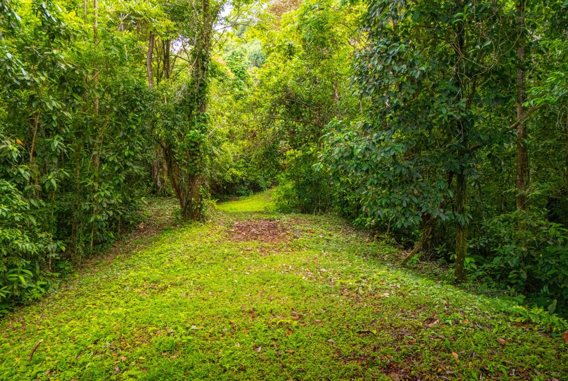 BUILDING MOUNTAIN PROPERTY WITH MOUNTAINS VIEWS, IN TRES RIOS – 9.11 ACRES