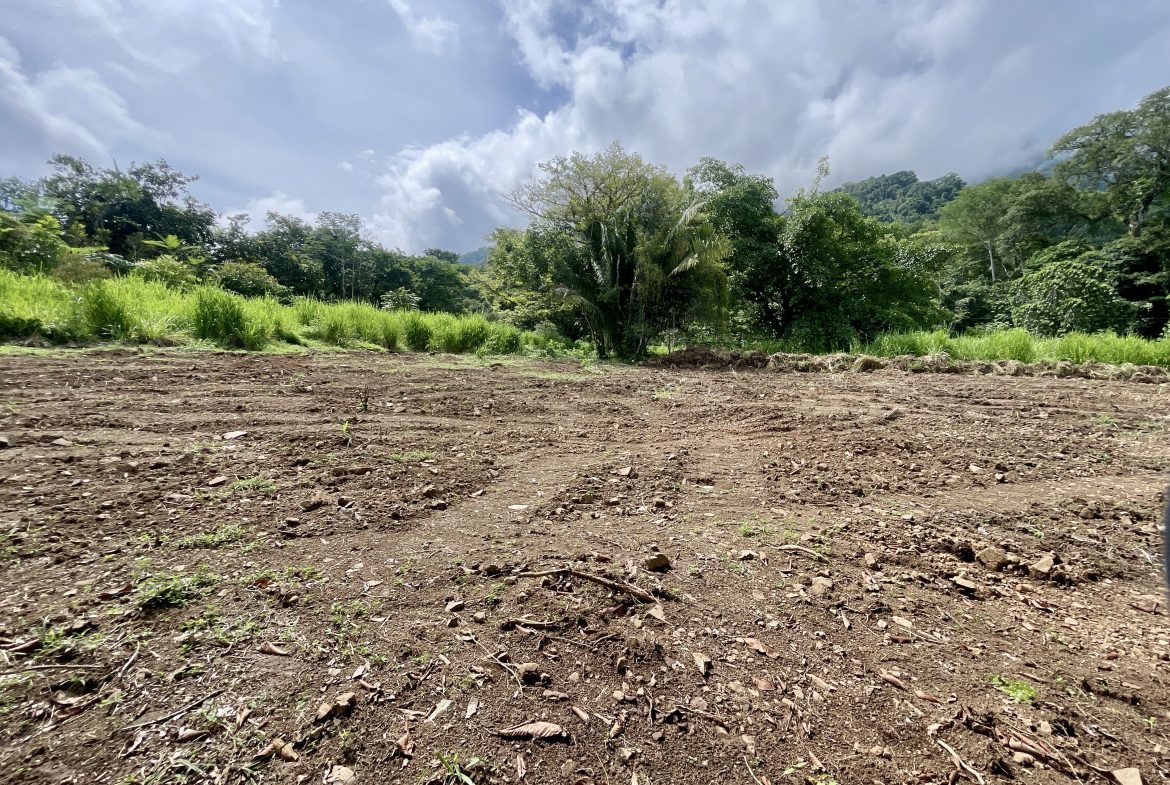 BUILDING PROPERTY WITH MOUNTAINS VIEWS IN OJOCHAL TORTUGA ARRIBA – 1.32 ACRES