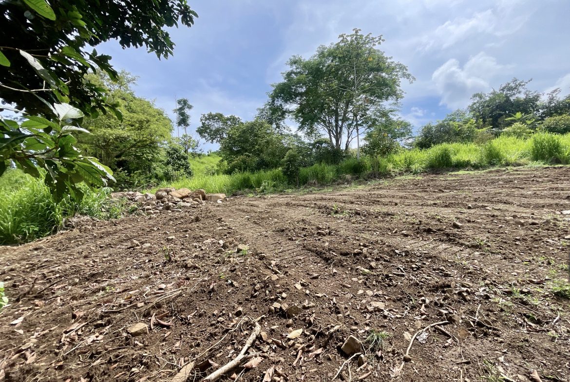 BUILDING PROPERTY WITH MOUNTAINS VIEWS IN OJOCHAL TORTUGA ARRIBA – 1.32 ACRES