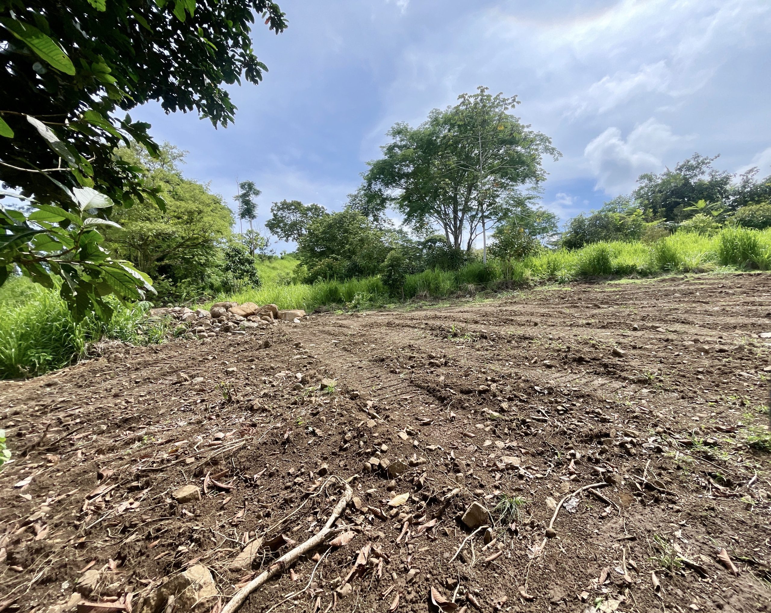 DJI_20250529_133448_460