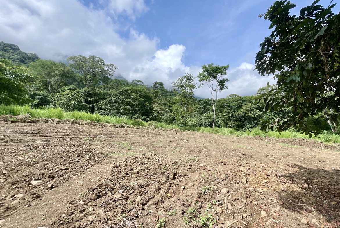 BUILDING PROPERTY WITH MOUNTAINS VIEWS IN OJOCHAL TORTUGA ARRIBA – 1.32 ACRES
