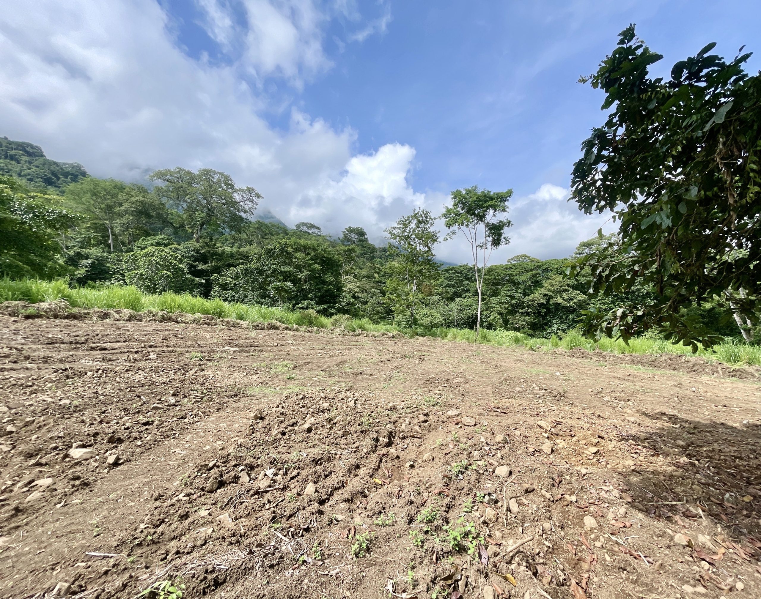 DJI_20250529_133506_961