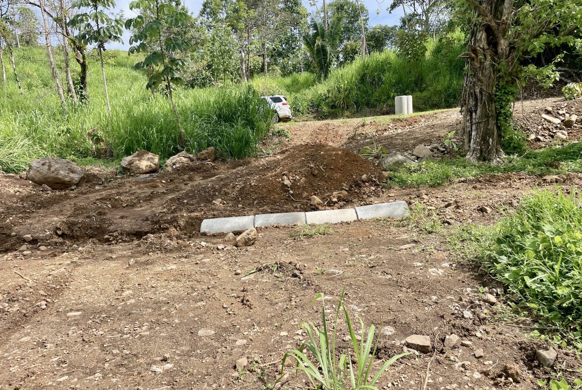 BUILDING PROPERTY WITH MOUNTAINS VIEWS IN OJOCHAL TORTUGA ARRIBA – 1.32 ACRES