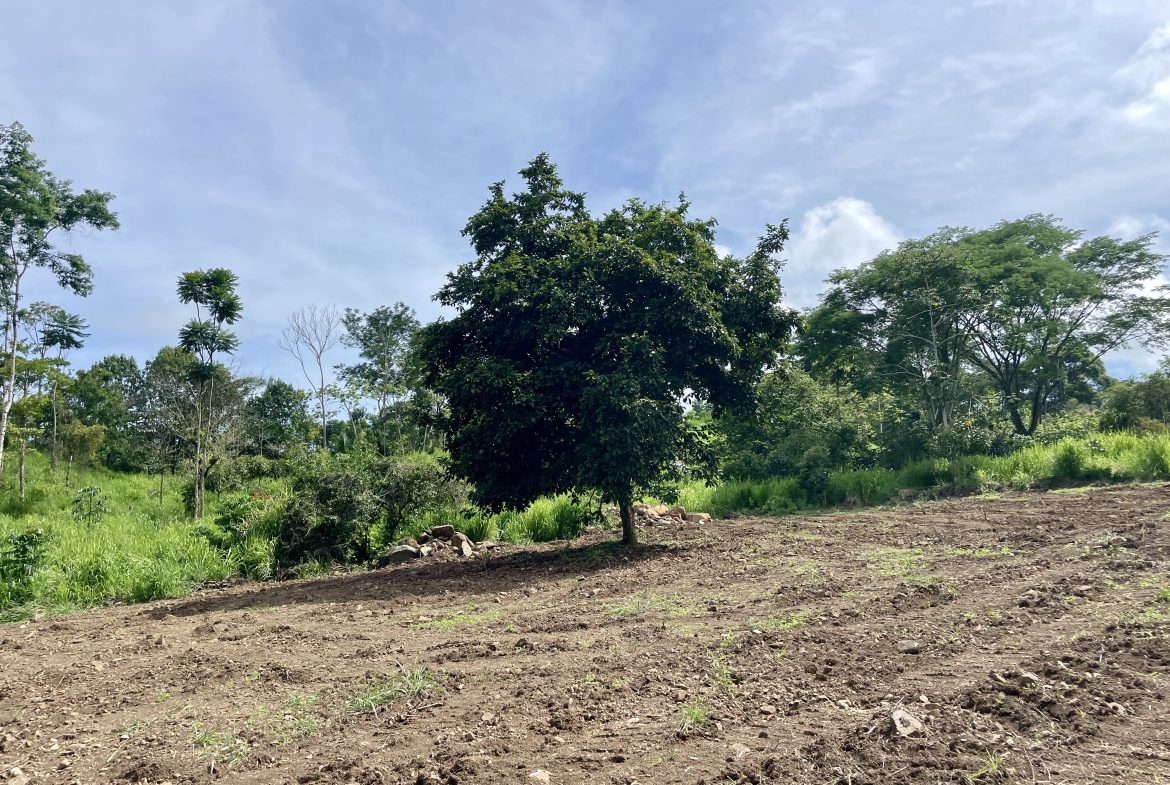 BUILDING PROPERTY WITH MOUNTAINS VIEWS IN OJOCHAL TORTUGA ARRIBA – 1.32 ACRES