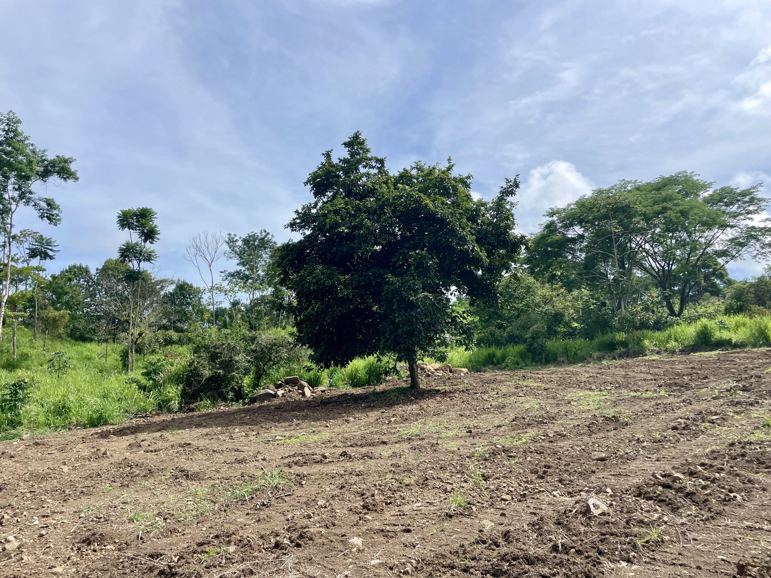 DJI_20250529_135005_276