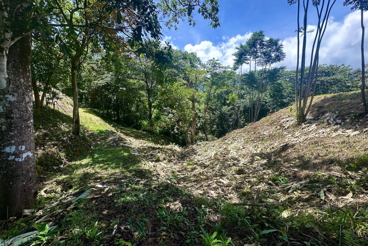 BUILDING PROPERTY WITH MOUNTAINS VIEWS, IN OJOCHAL – 1.79 ACRES