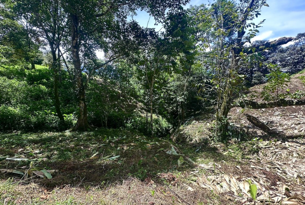BUILDING PROPERTY WITH MOUNTAINS VIEWS, IN OJOCHAL – 1.79 ACRES