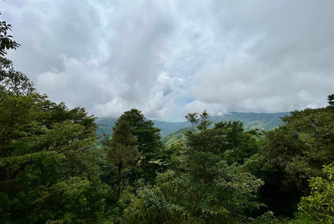 PROPERTY WITH ONE BEDROOM AND PANORAMIC VALLEY VIEWS, IN SAN LUIS MORETE – 1.53 ACRES