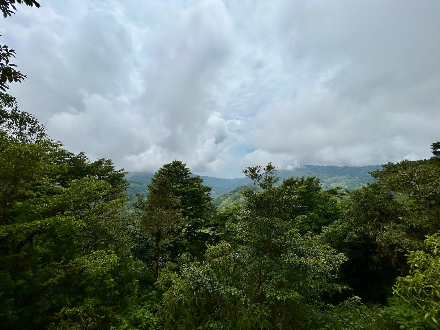 Foto 16-9-25, 12 09 28