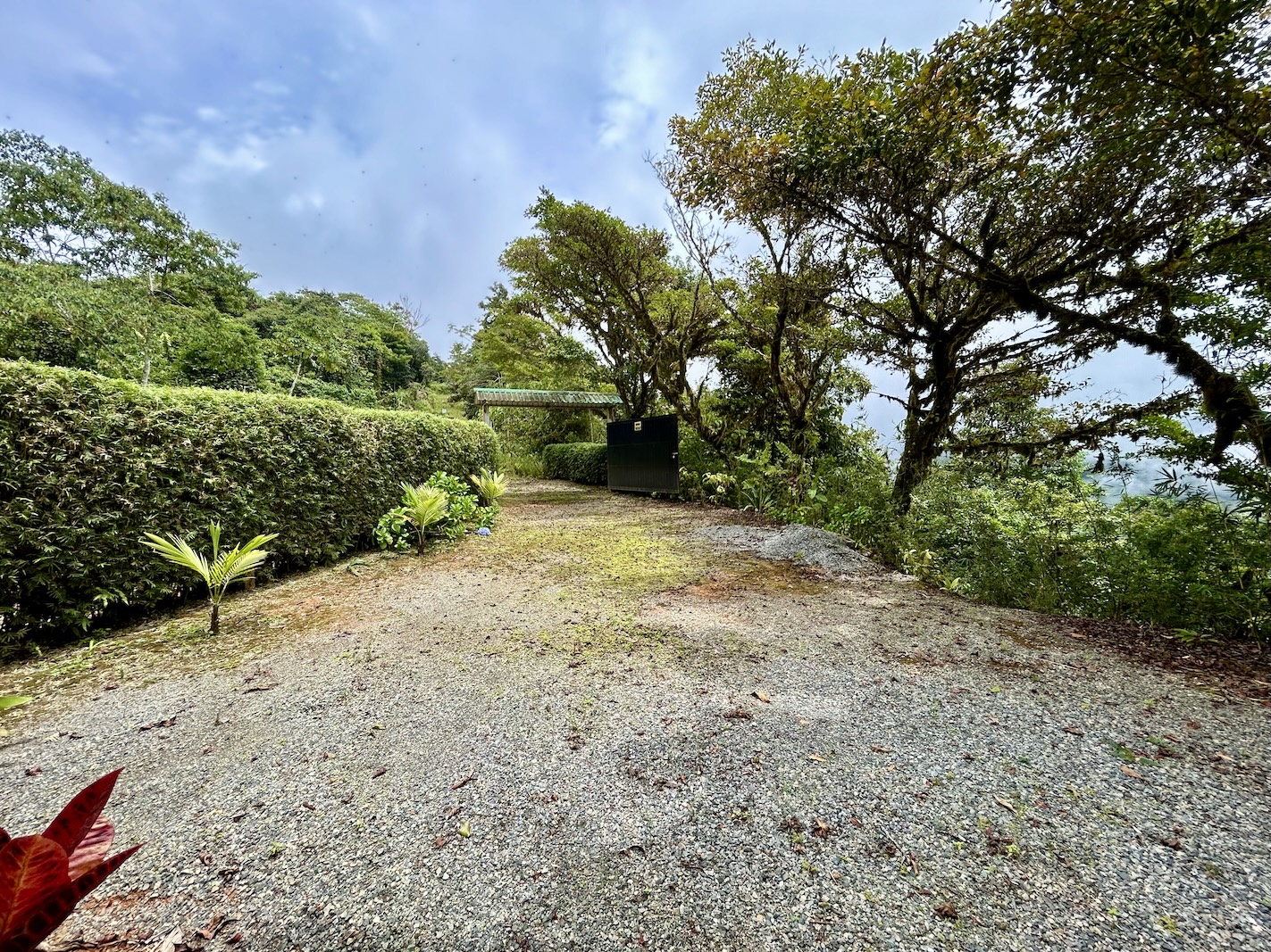 Foto 16-9-25, 12 13 41