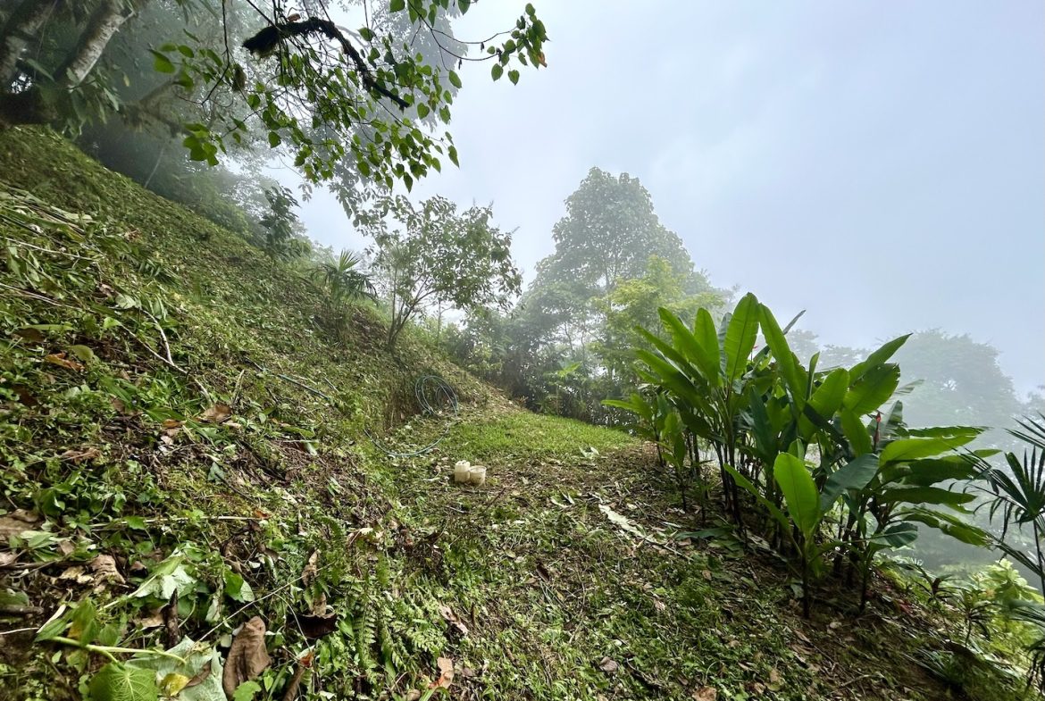 PROPERTY WITH ONE BEDROOM AND PANORAMIC VALLEY VIEWS, IN SAN LUIS MORETE – 1.53 ACRES