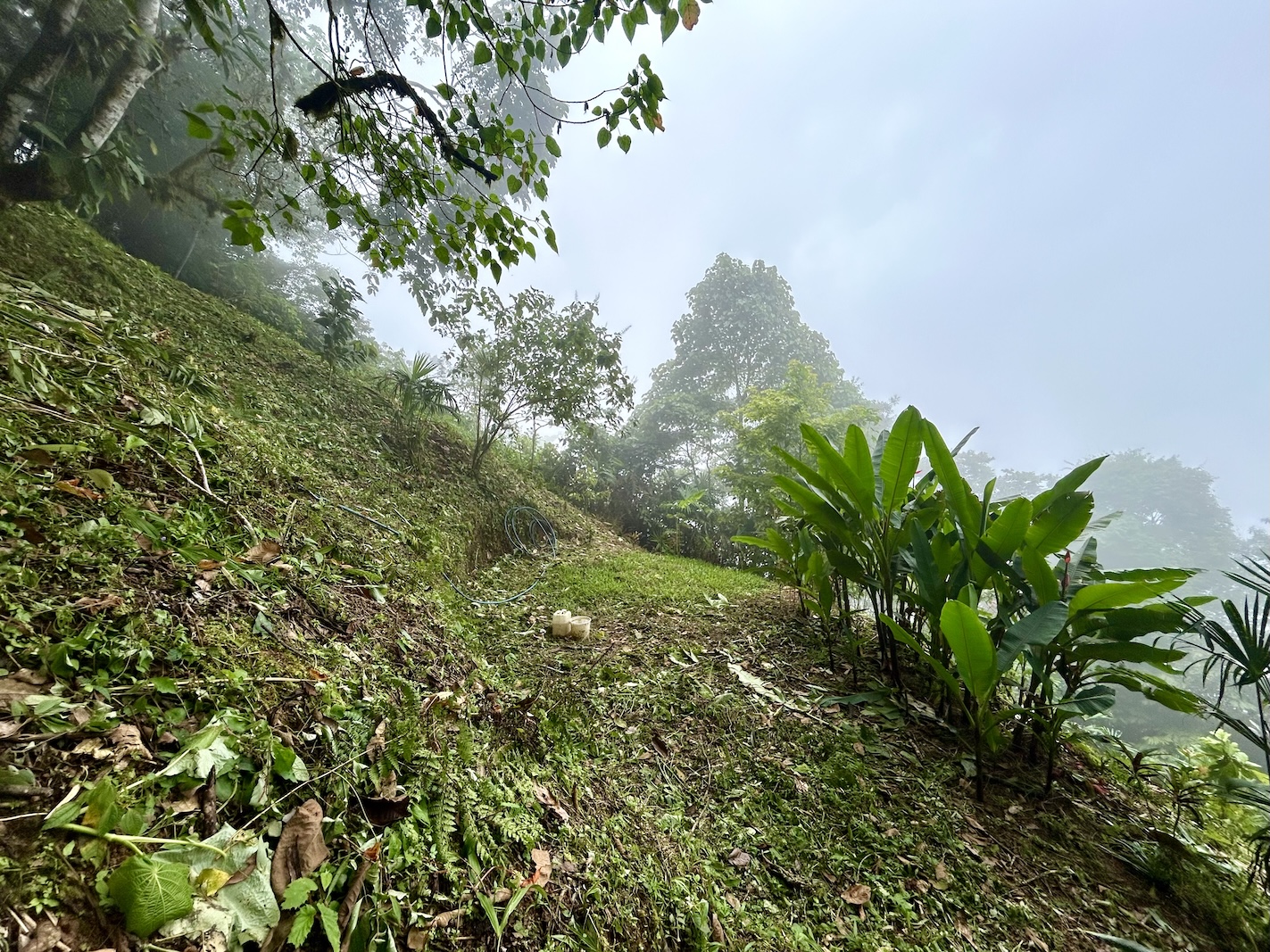 Foto 16-9-25, 13 19 10