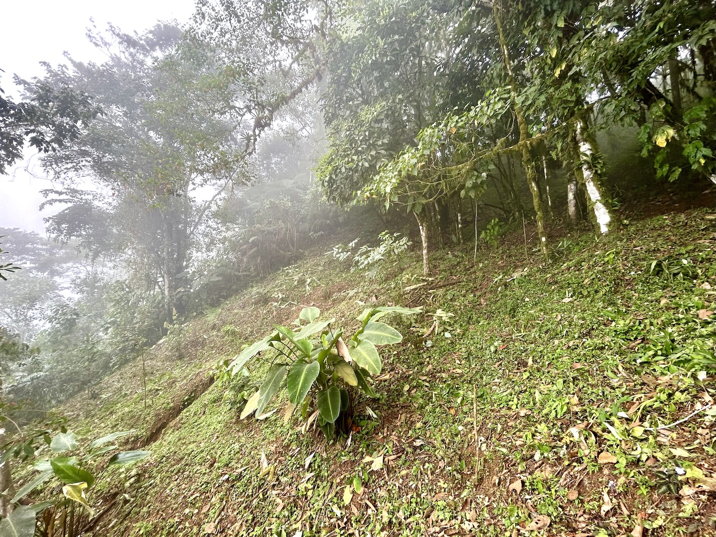 Foto 16-9-25, 13 19 16