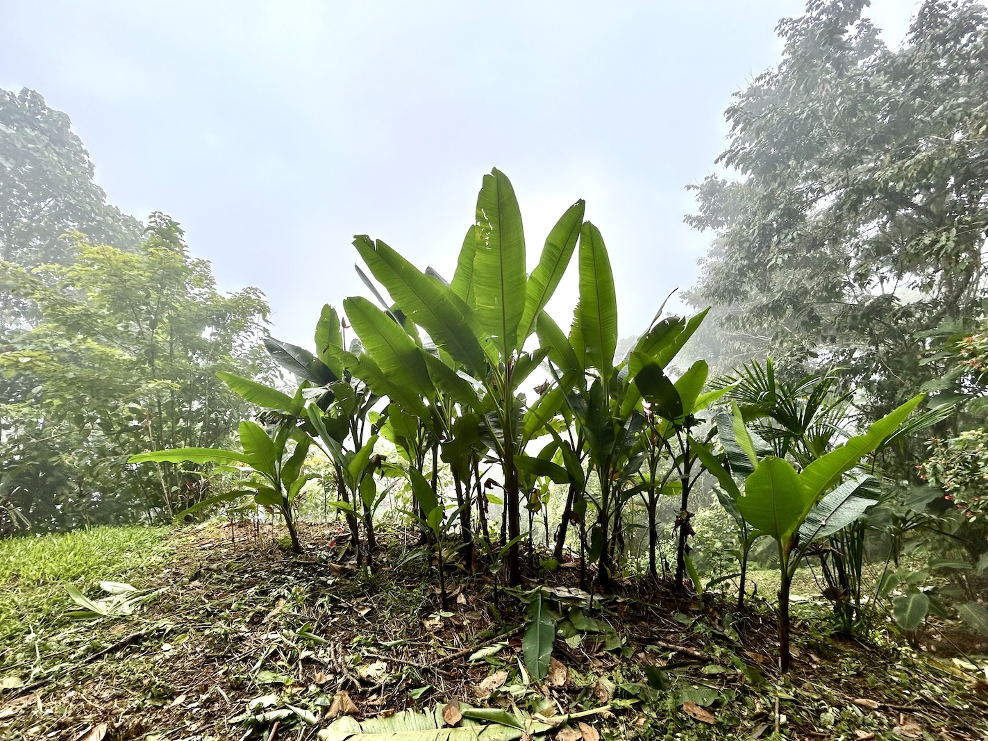 Foto 16-9-25, 13 19 30