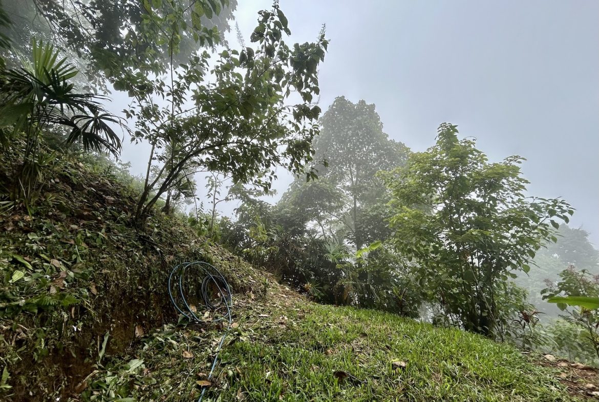PROPERTY WITH ONE BEDROOM AND PANORAMIC VALLEY VIEWS, IN SAN LUIS MORETE – 1.53 ACRES