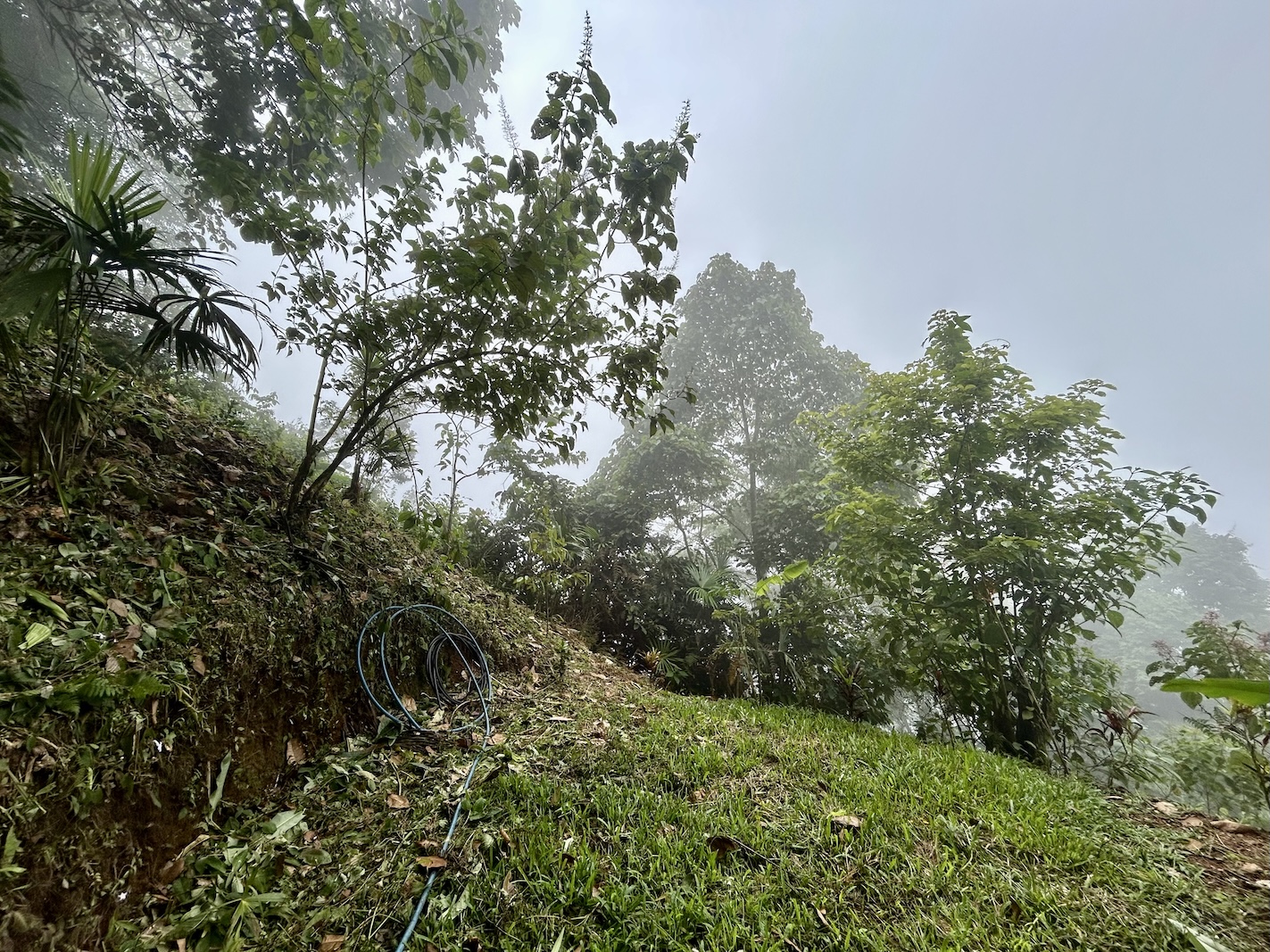 Foto 16-9-25, 13 19 39