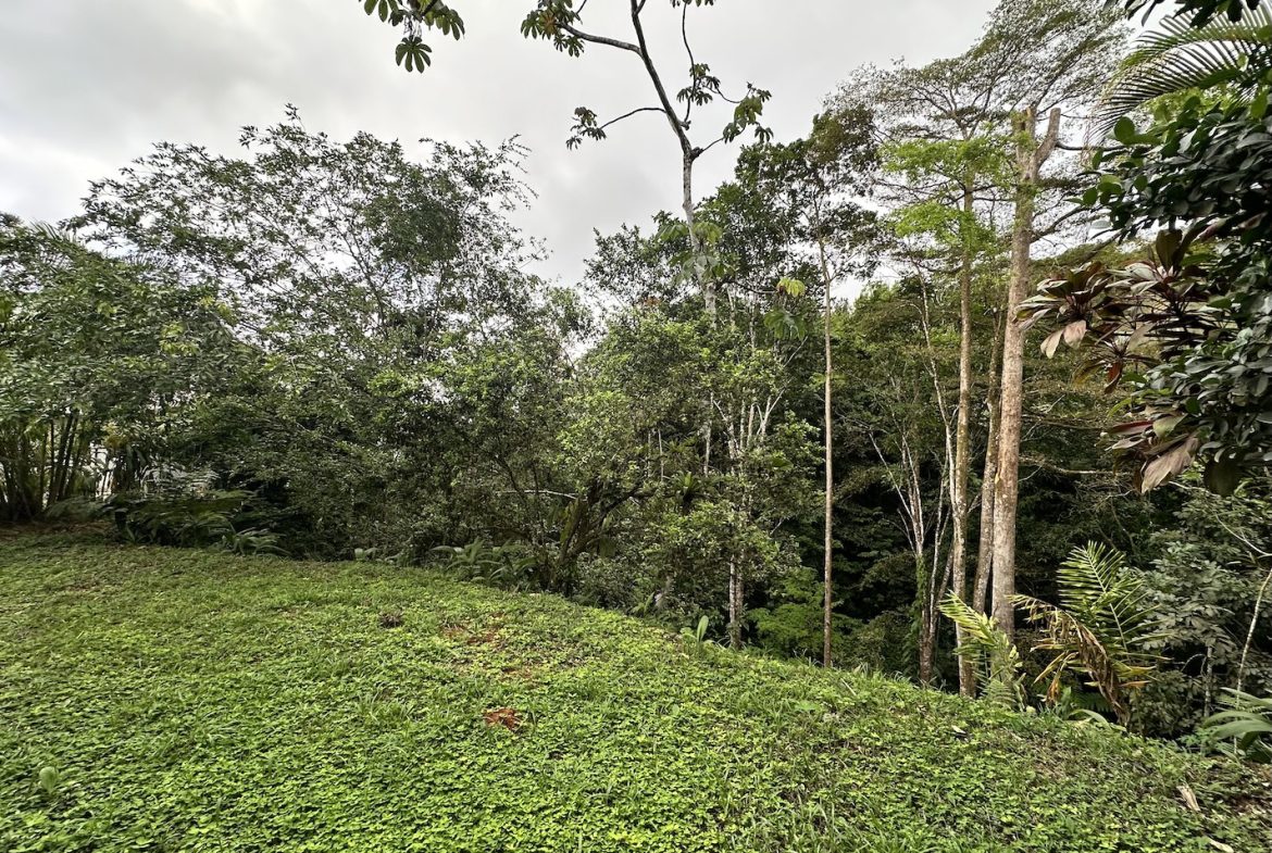 Teak Luxury 5-beds Home in the Mountains of Las Tumbas – 0.45 ACRES