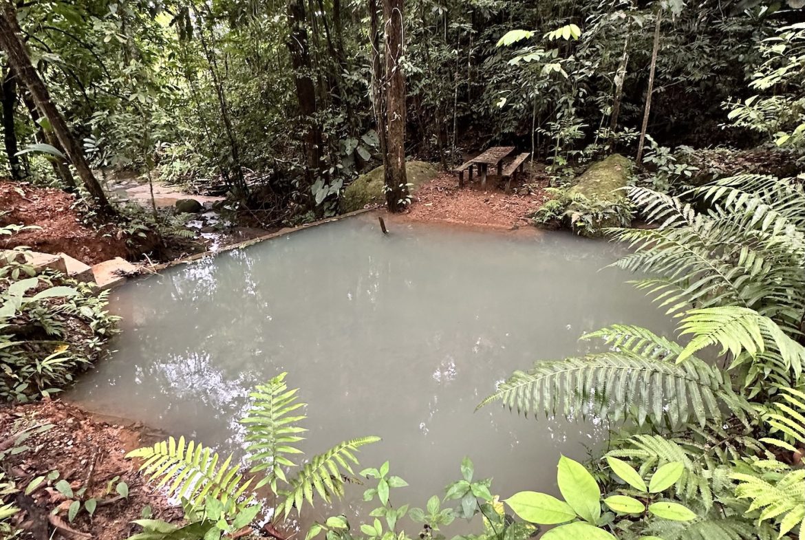 Teak Luxury 5-beds Home in the Mountains of Las Tumbas – 0.45 ACRES