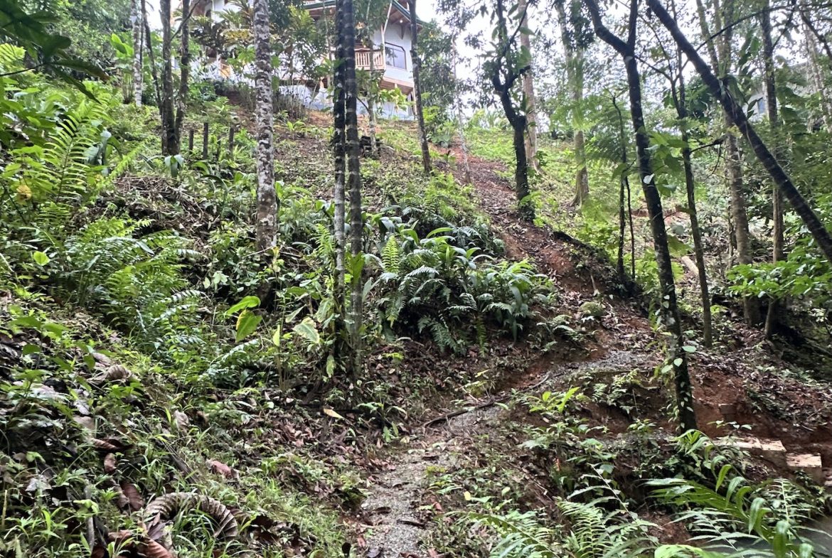 Teak Luxury 5-beds Home in the Mountains of Las Tumbas – 0.45 ACRES
