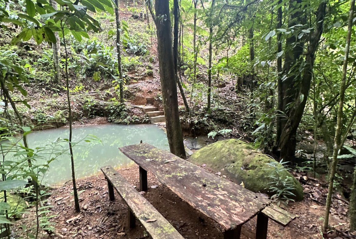 Teak Luxury 5-beds Home in the Mountains of Las Tumbas – 0.45 ACRES