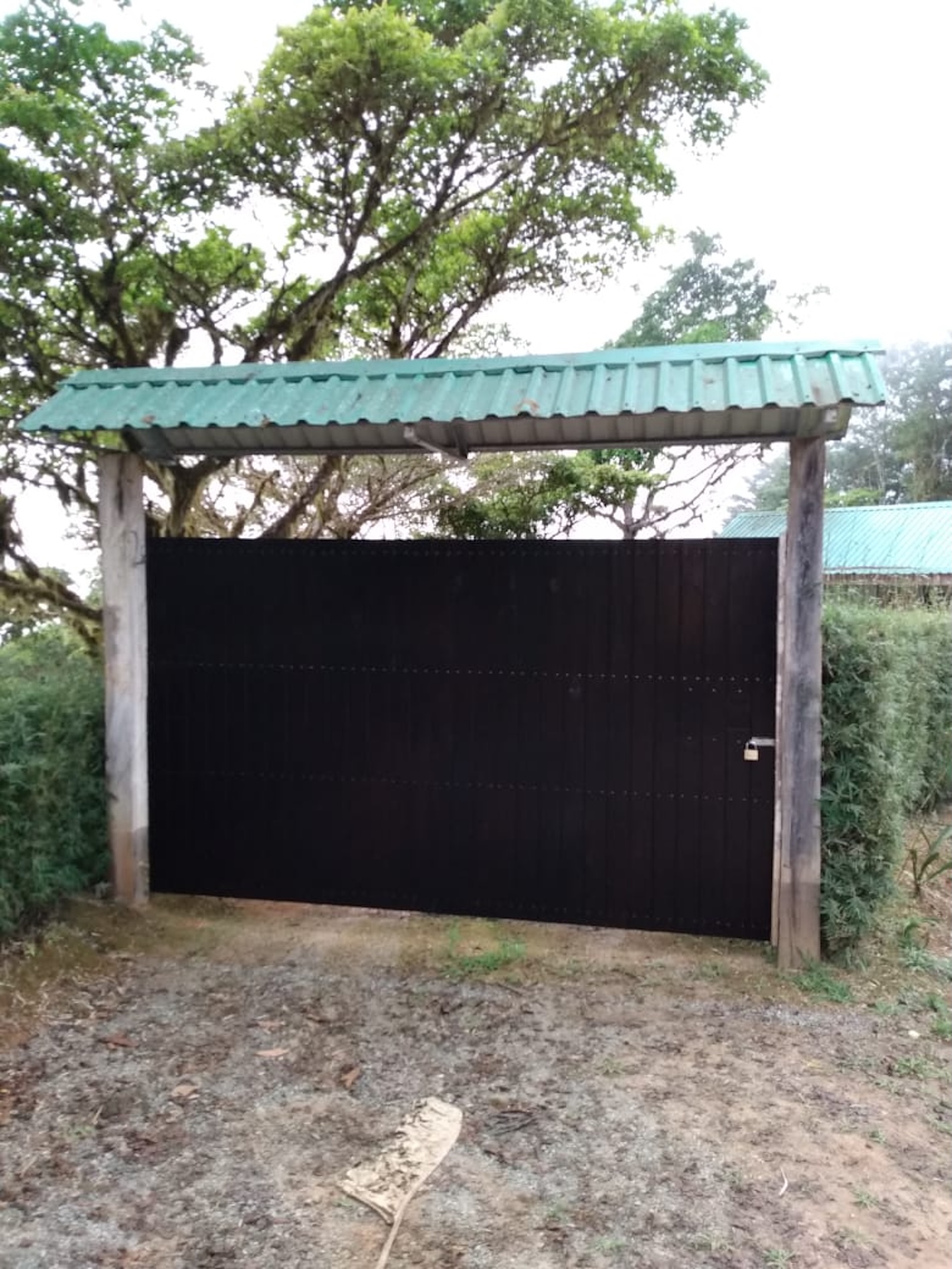 Foto 4-10-24, 19 40 58 (1)