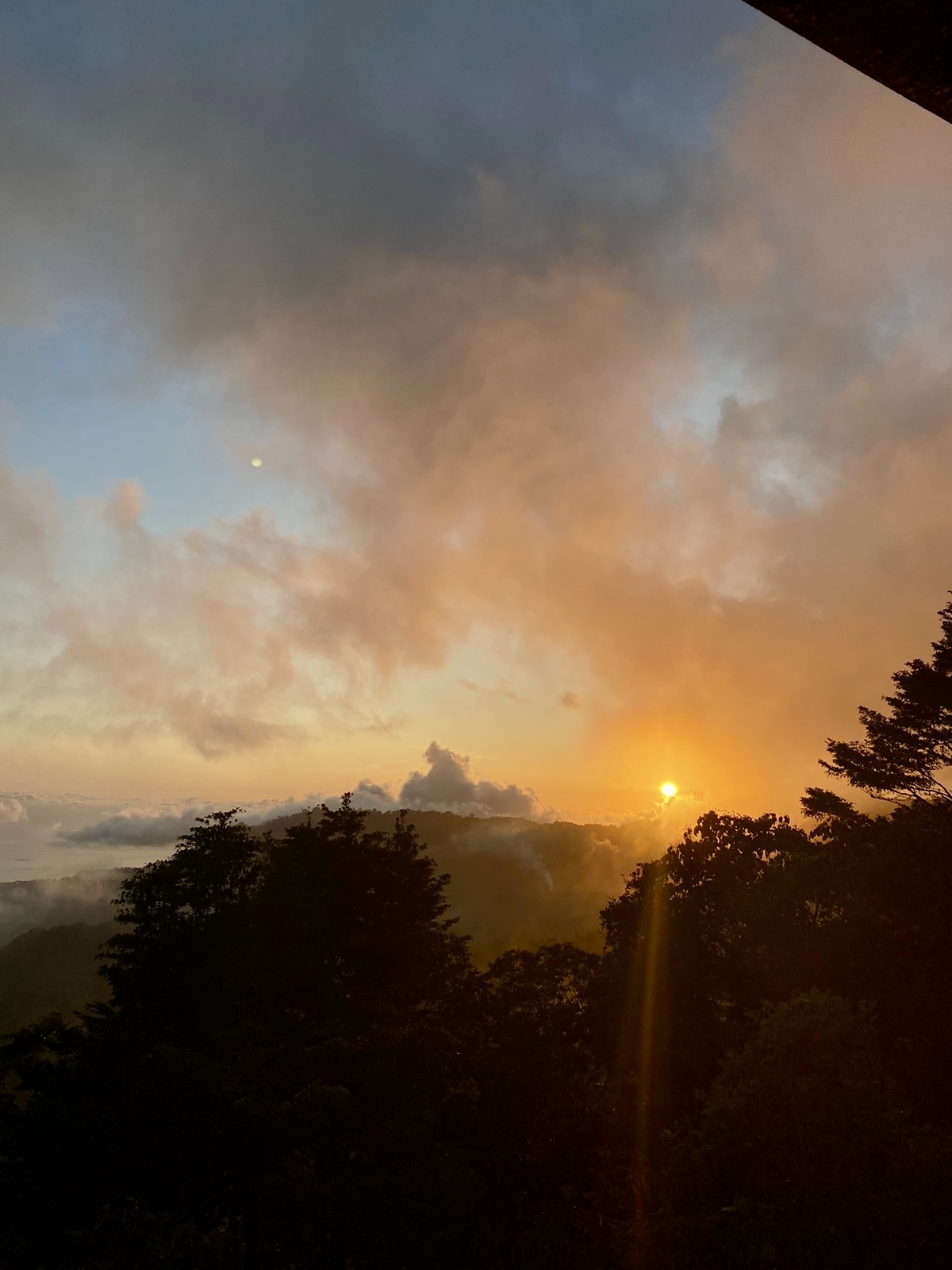 Foto 4-10-24, 19 40 58 (4)