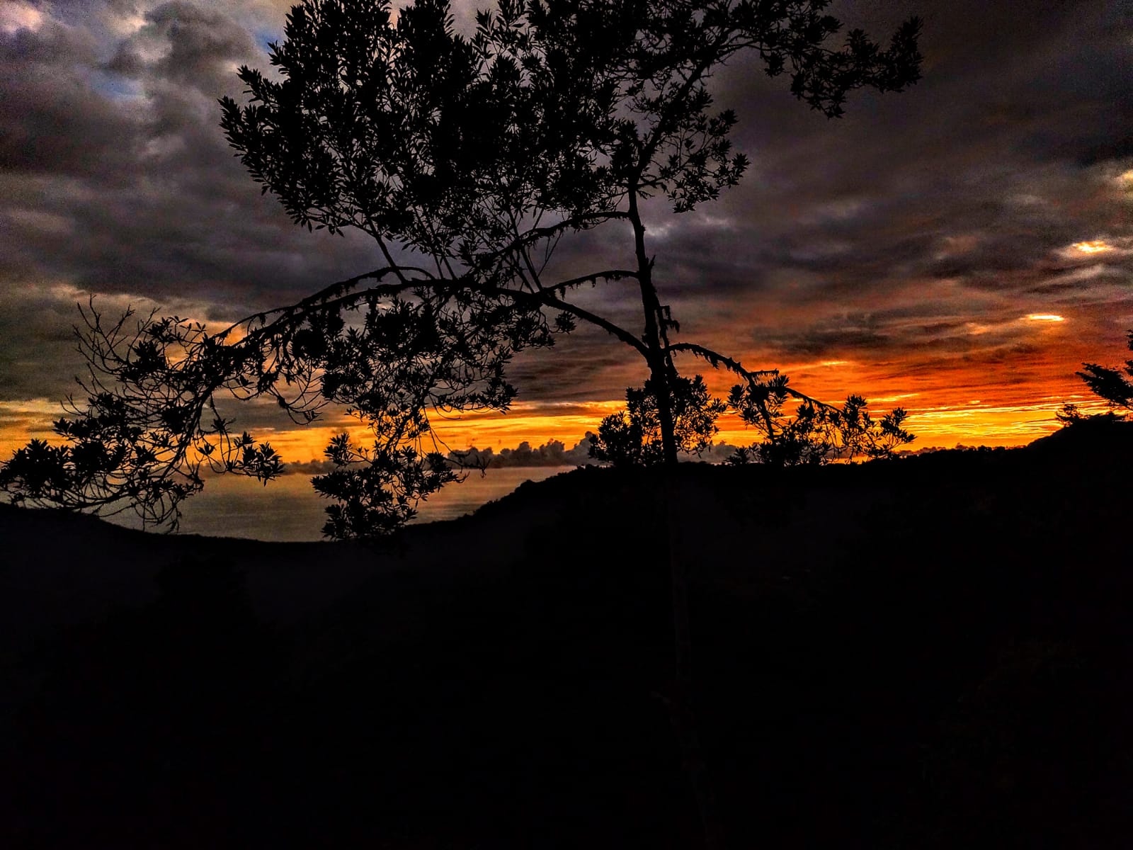 Foto 4-10-24, 19 40 58 (5)