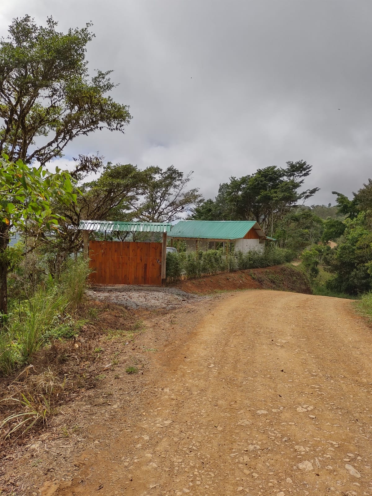 Foto 4-10-24, 19 40 58 (6)