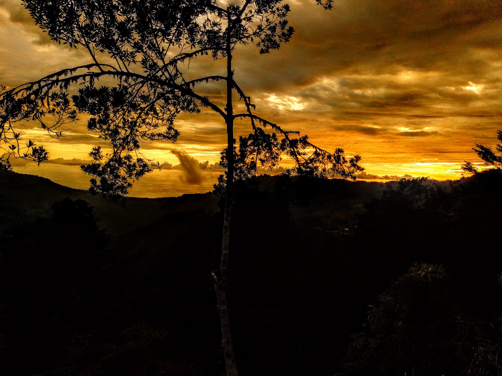 Foto 4-10-24, 19 40 58 (7)