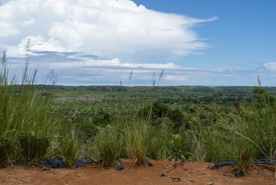 GATED COMMUNITY WITH BUILDING PROPERTIES AND OCEAN AND MOUNTAINS VIEWS, NEAR TO PORTALON – 13. 77 ACRES