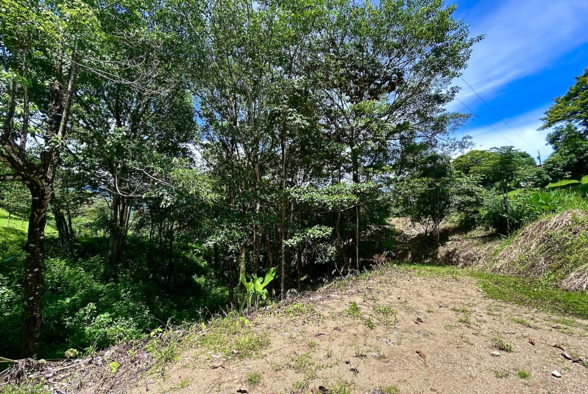 BUILDING PROPERTY WITH MOUNTAINS VIEWS, IN OJOCHAL – 1.79 ACRES