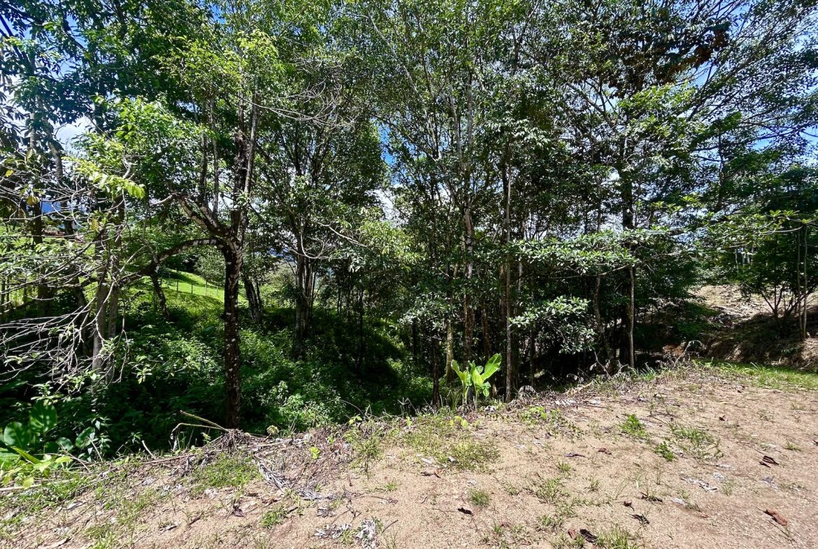 BUILDING PROPERTY WITH MOUNTAINS VIEWS, IN OJOCHAL – 1.79 ACRES