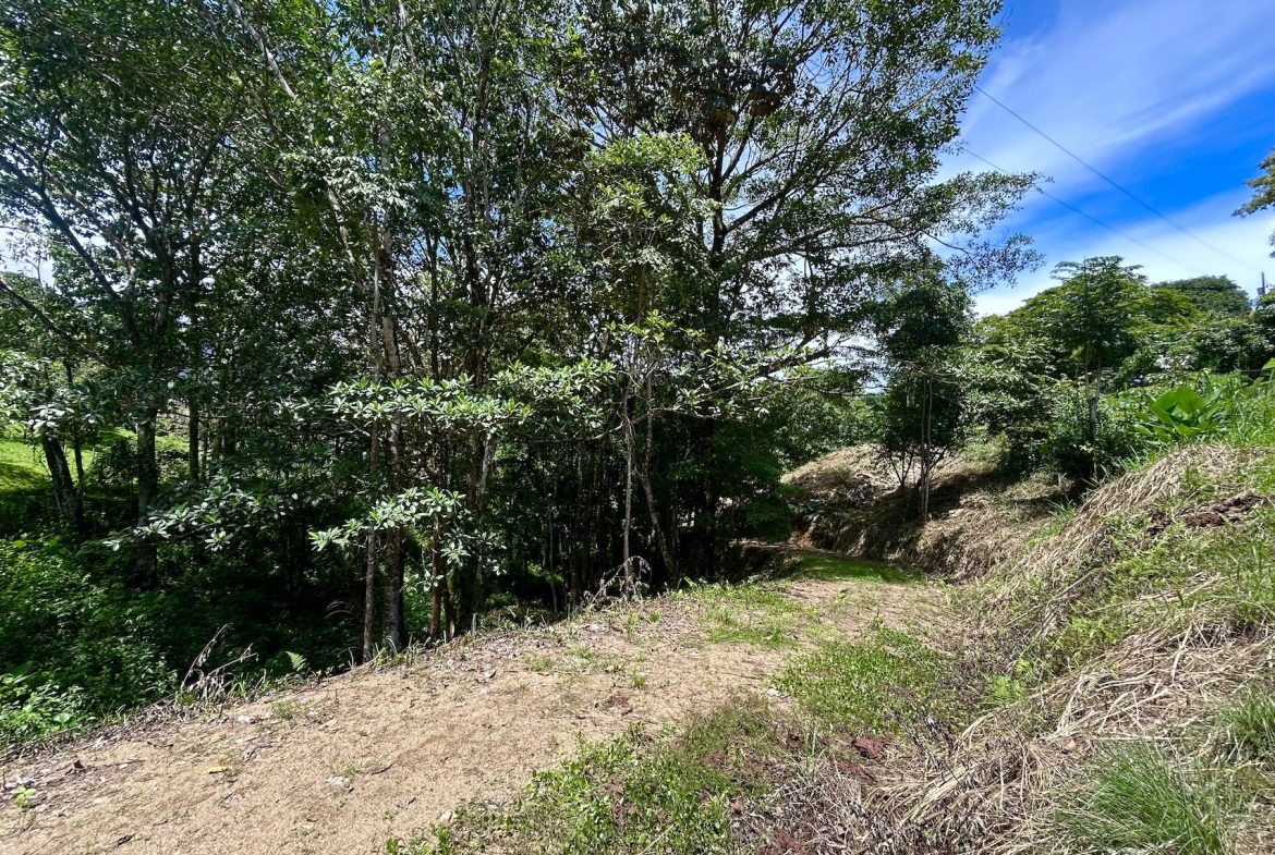 BUILDING PROPERTY WITH MOUNTAINS VIEWS, IN OJOCHAL – 1.79 ACRES