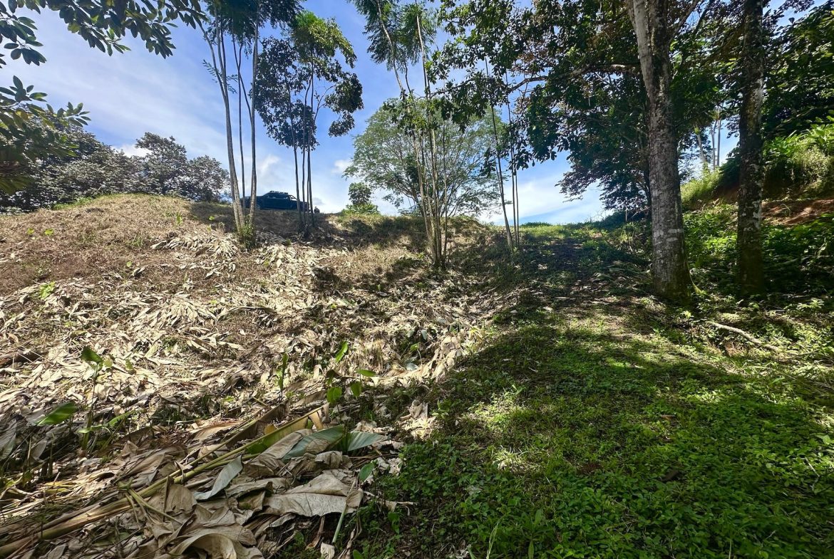 BUILDING PROPERTY WITH MOUNTAINS VIEWS, IN OJOCHAL – 1.79 ACRES