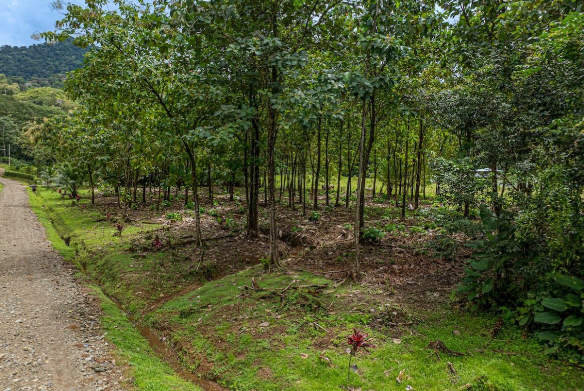 GATED COMMUNITY WITH BUILDING PROPERTIES AND OCEAN AND MOUNTAINS VIEWS, NEAR TO PORTALON – 13. 77 ACRES
