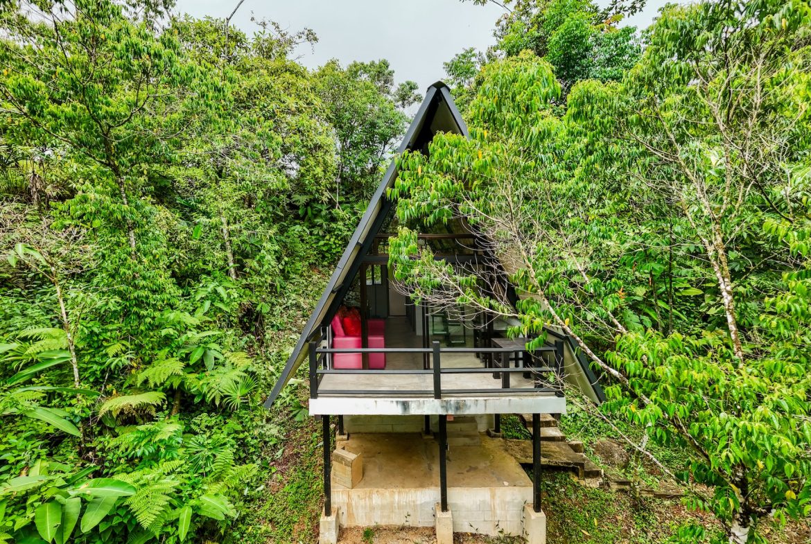 PROPERTY WITH A GUEST HOUSE AND LANDSCAPING VIEWS, IN TRINIDAD – 2.6 ACRES