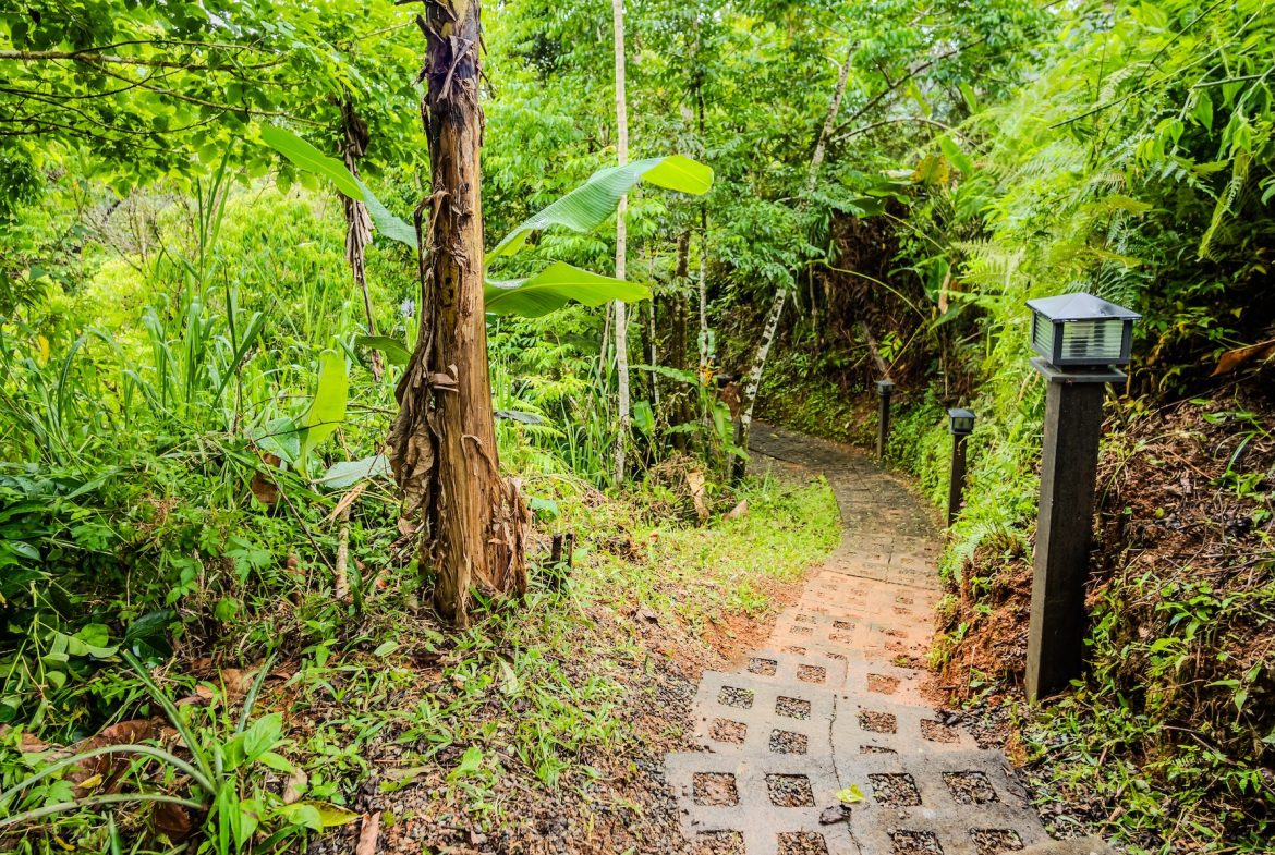 PROPERTY WITH A GUEST HOUSE AND LANDSCAPING VIEWS, IN TRINIDAD – 2.6 ACRES