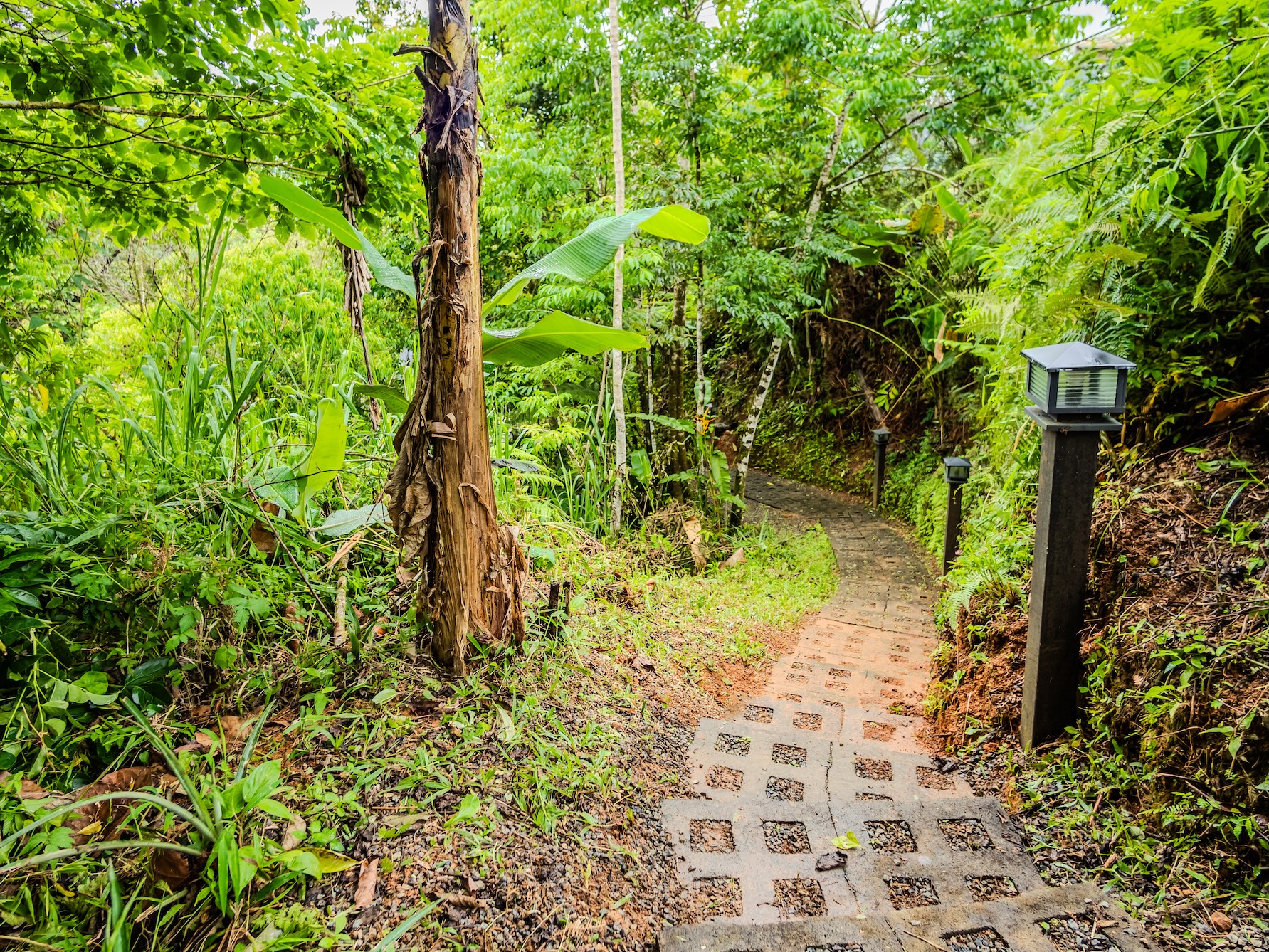 Guesthouse_Serenity Gardens11