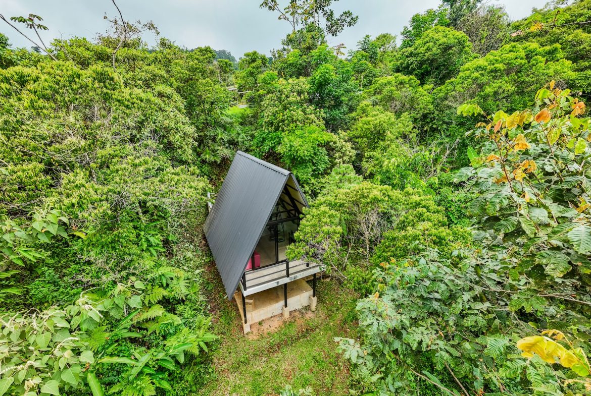 PROPERTY WITH A GUEST HOUSE AND LANDSCAPING VIEWS, IN TRINIDAD – 2.6 ACRES