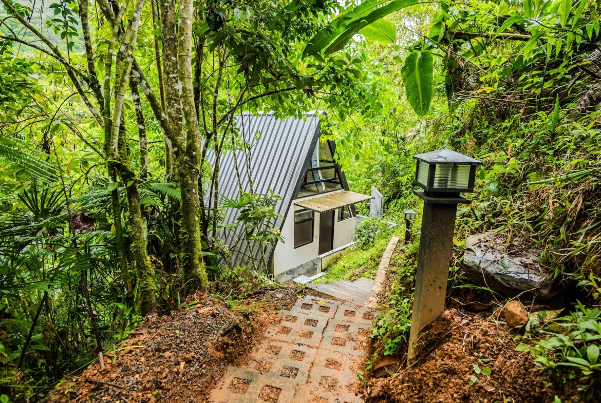 PROPERTY WITH A GUEST HOUSE AND LANDSCAPING VIEWS, IN TRINIDAD – 2.6 ACRES