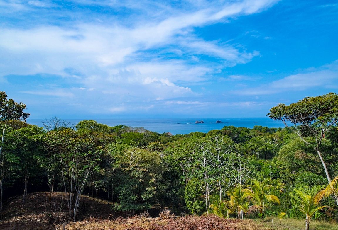 BUILDING PROPERTY WITH OCEAN VIEWS, IN BALLENA – 14.63 ACRES